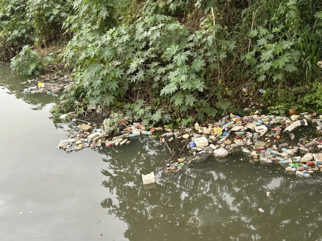Waste and plastic from the Jayanti drain directly flow into the Panchganga river