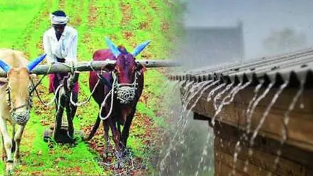 वरूणराजा थोडं थांब! पेरणीची कामं खोळंबली Rain God, hold on a bit! Sowing activities have been disrupted