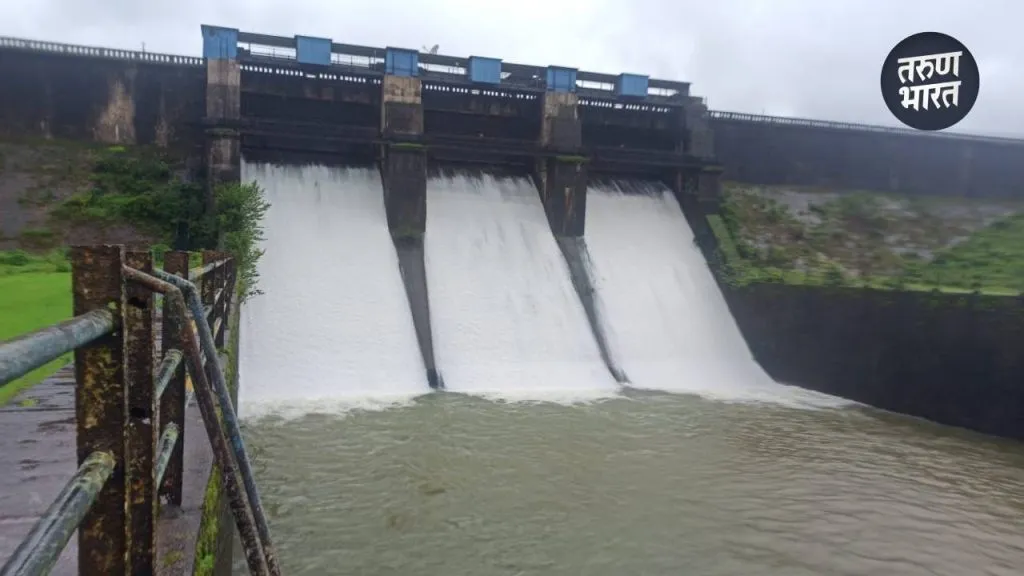 Tulashi Dam: ‘तुळशी’ जलाशय 77 टक्के भरला, 500 क्युसेकने पाण्याचा विसर्ग सरु 1792 mm of rain has been recorded today Tulashi Dam radhanagri