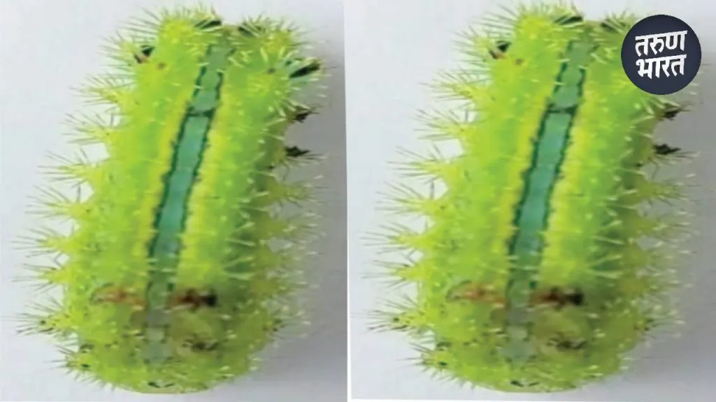 Sometimes natural disaster sometimes result government policies