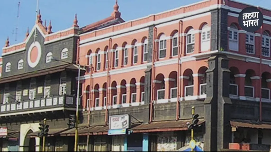 draft ward structure submit Collector Municipal Administration