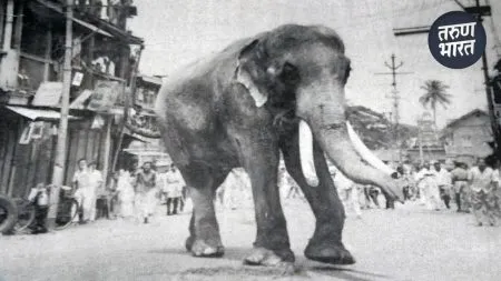 elephant Barchi Bahadur housed archway old palace in Kolhapur