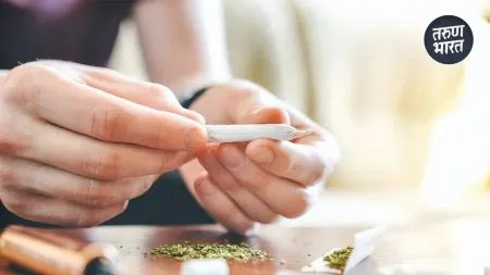 Kolhapur Policecracked down smuggling narcotics marijuana