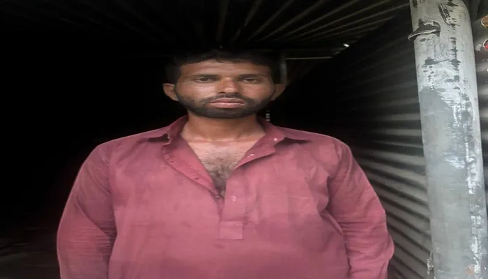 पाकिस्तानी घुसखोराला पंजाब सीमेवर अटक Pakistani infiltrator arrested at Punjab border
