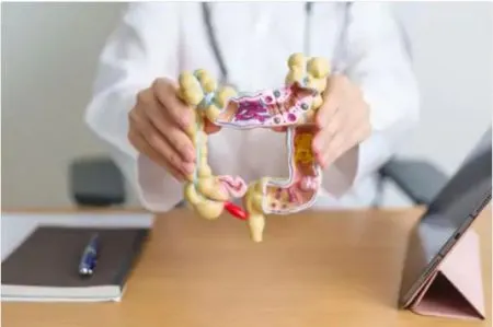 'Stomach' makes you lose weight...