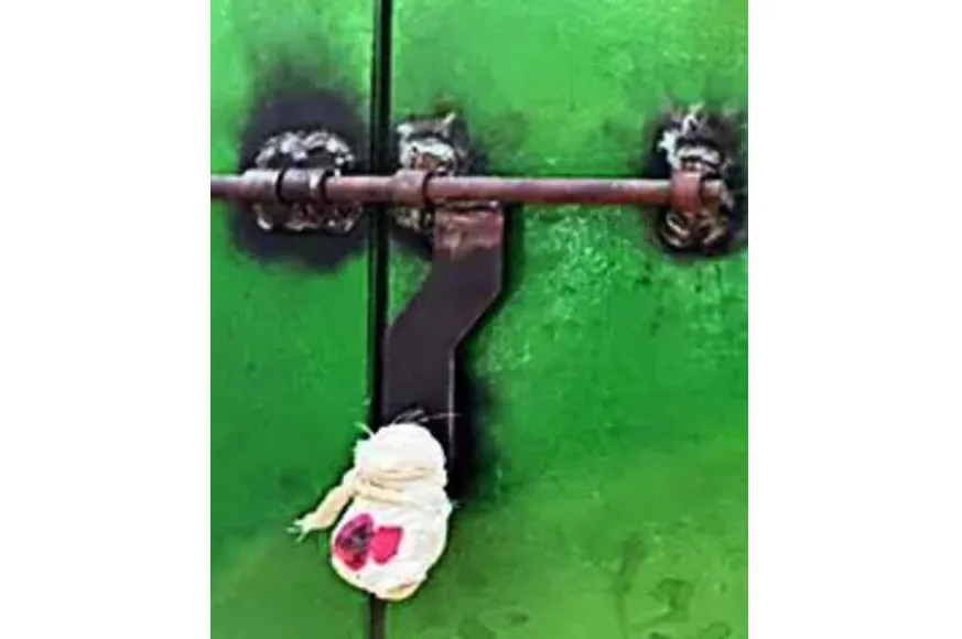 Rohan Harmalkar's assets worth Rs 212 crore seized