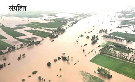 केंद्रीय जलआयोगाचे १६० कर्मचारी संपावर 160 employees of the Central Water Commission go on strike