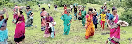 Over a lakh seed balls dispersed in the hills