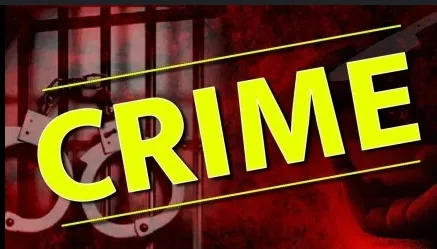 हजारमाचीत मुलाकडून वडिलांवर तलवारीने वार In Hazarmachi, son attacks father with a sword