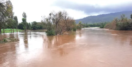 चांदोली परिसरात अतिवृष्टीने घरांची पडझड Heavy rainfall causes house collapses in the Chandoli area