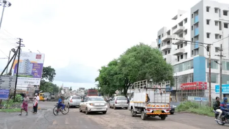 बायपास रोड चौकाला झाडांचा अडथळा! Trees obstructing the bypass road junction!