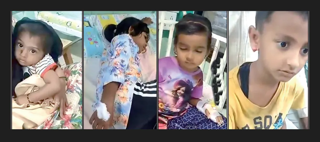 Nine children attacked by stray dogs in Miraj