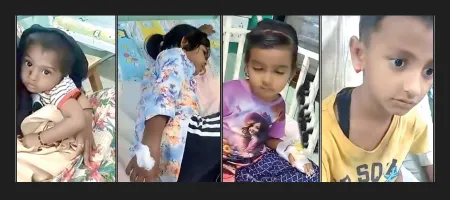 Nine children attacked by stray dogs in Miraj