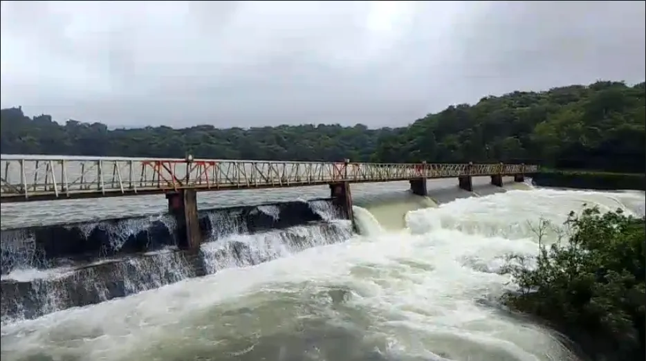 Radhanagari Dam filled to the brim...
