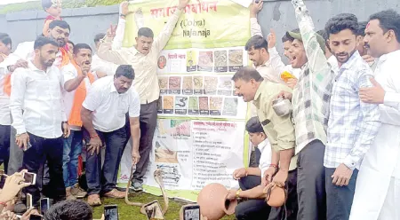 Shiralakars delighted by traditional Nag Panchami celebrations