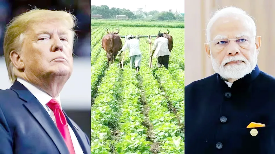 Donald Trump imposes tariffs on 14 countries