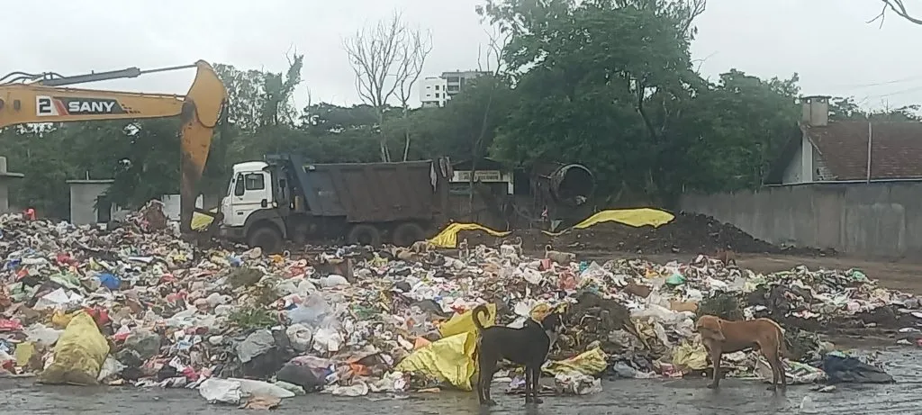 Swamp, unbearable stench, and the terror of stray dogs