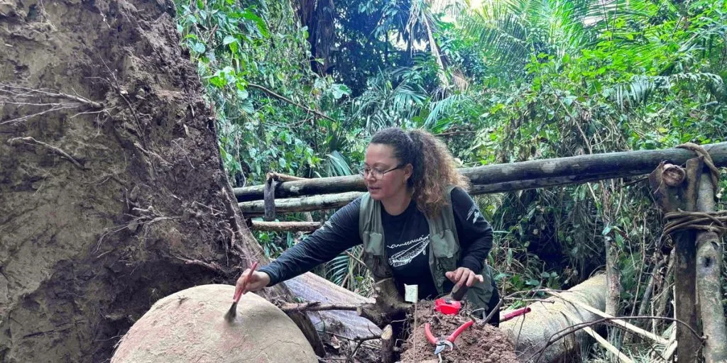 Tree fell due to flood, 7 urns found under the roots