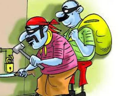 पाटण तालुक्यात चोरट्यांचा धुमाकूळ Thieves run riot in Patan taluka