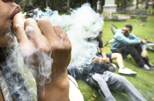 Strong action against drugs this year