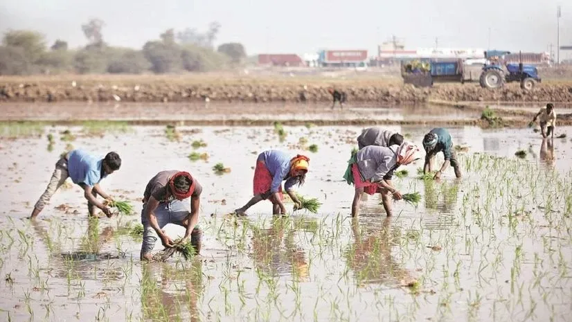 Will there be a golden age for agriculture in Goa?