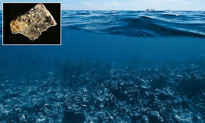 Ancient fossils found in the deep sea