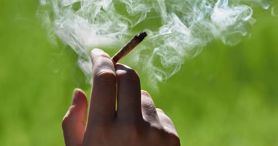 कसबा बावड्यात गांजाचा धूर आणि नशेचा पूर Smoke of marijuana and a flood of intoxication in Kasba Bawda