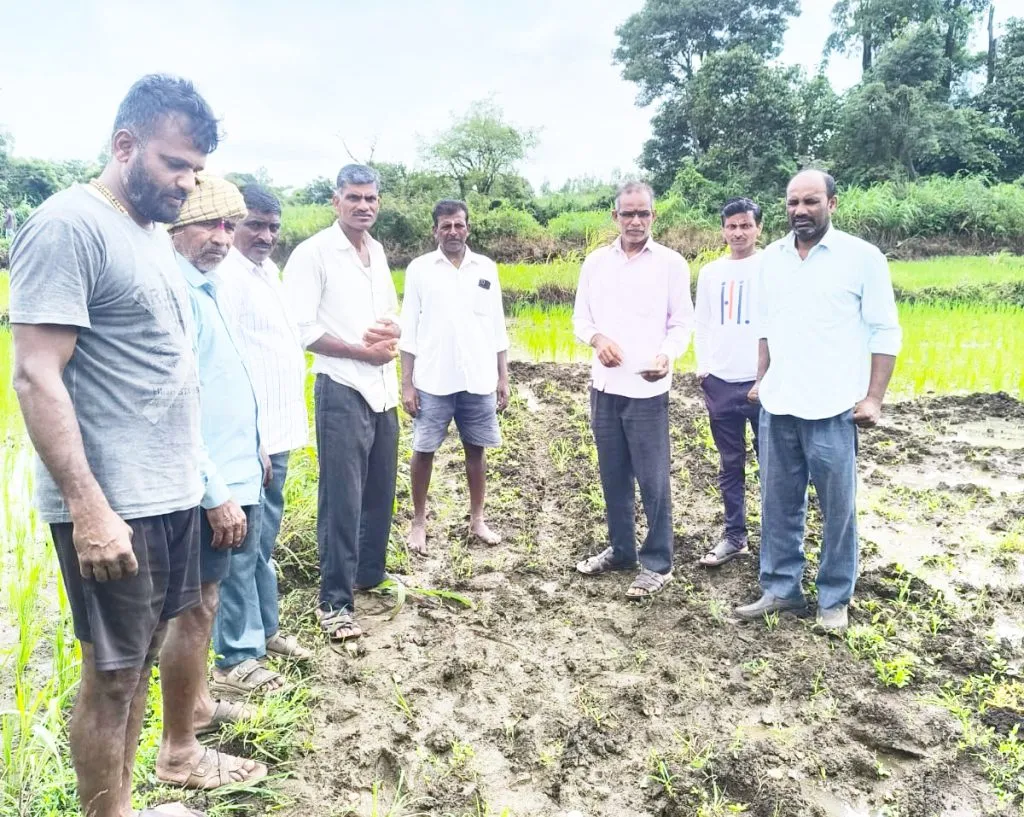 Leopard movement in Handiganur area