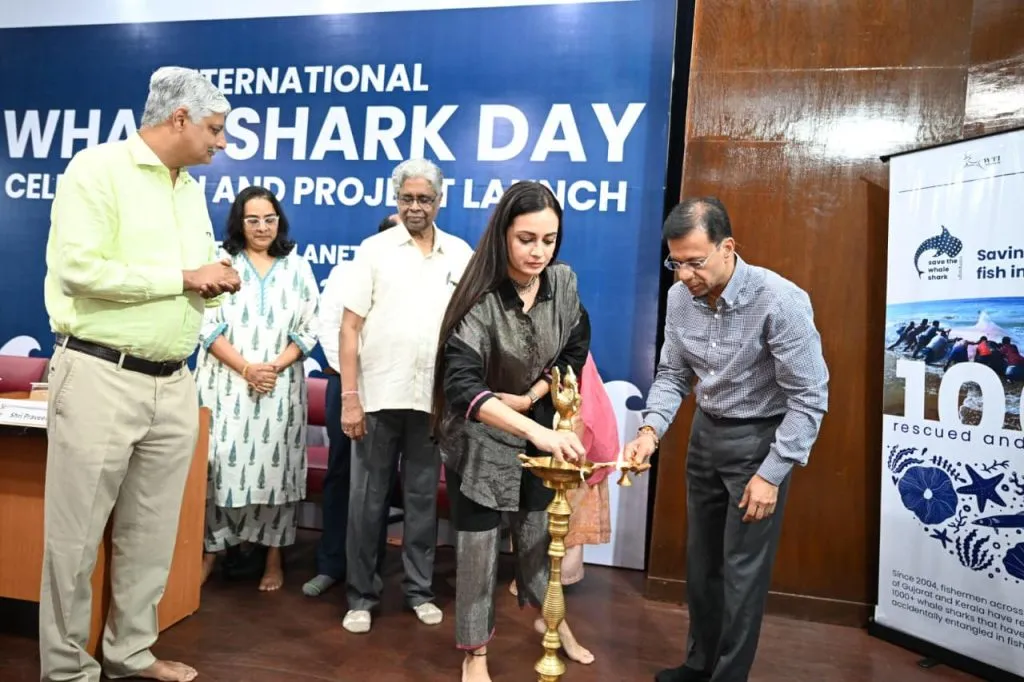 शार्क माशाच्या रक्षणार्थ धोरण आखू : मंत्री राणे Let's formulate a policy to protect sharks: Minister Rane