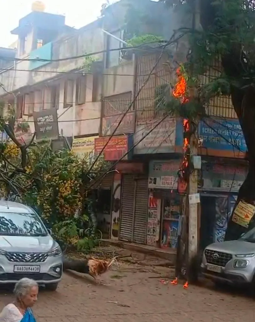 Power lines caught fire after a branch fell on Bapat Galli