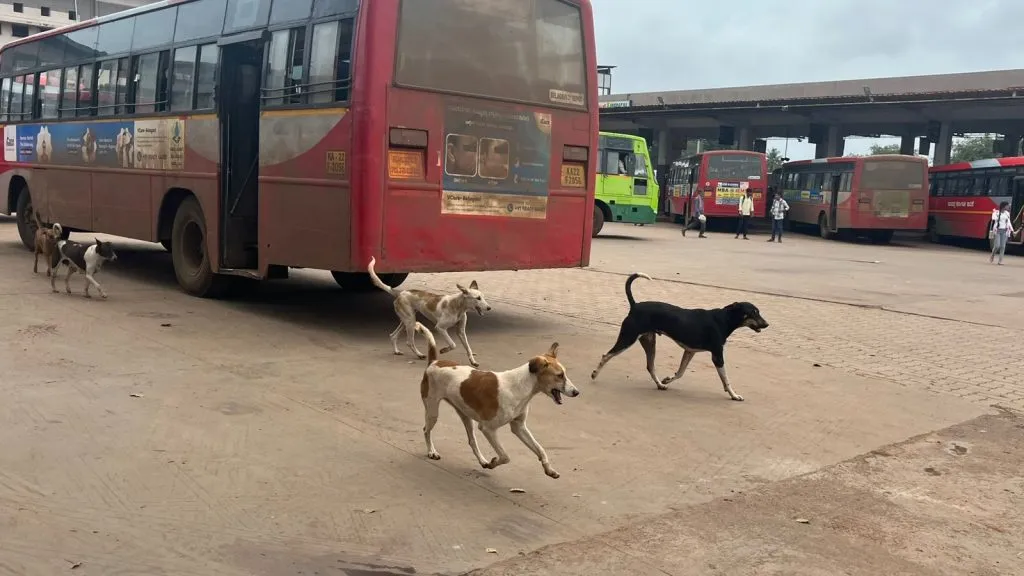 Central bus stand became a garbage dump