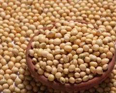 Soybean prices rise, only disappointment in hand!