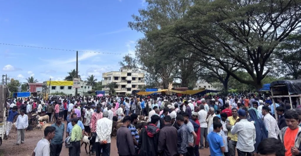 गणेश चतुर्थीनिमित्त खानापूर बकरी बाजारात गर्दी Crowd at Khanapur Goat Market on the occasion of Ganesh Chaturthi