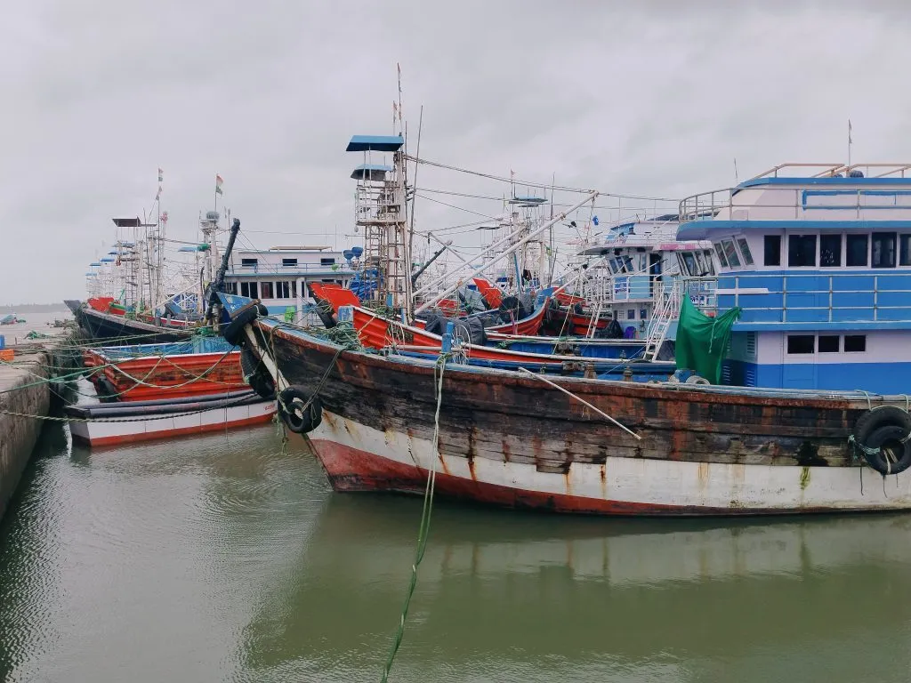 आजपासून यांत्रिकी मासेमारीस प्रारंभ Mechanical fishing begins from today