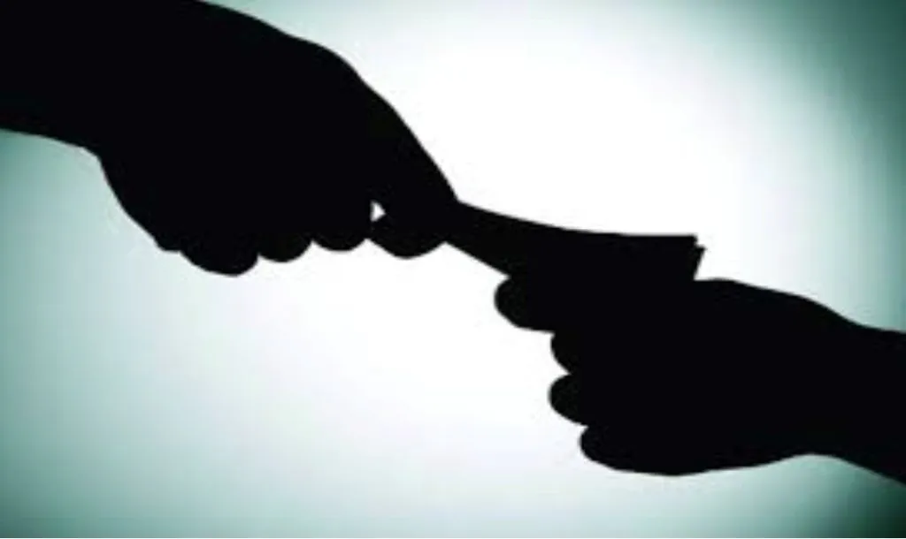 Zilla Parishad's Junior Engineer Caught in Bribery Trap