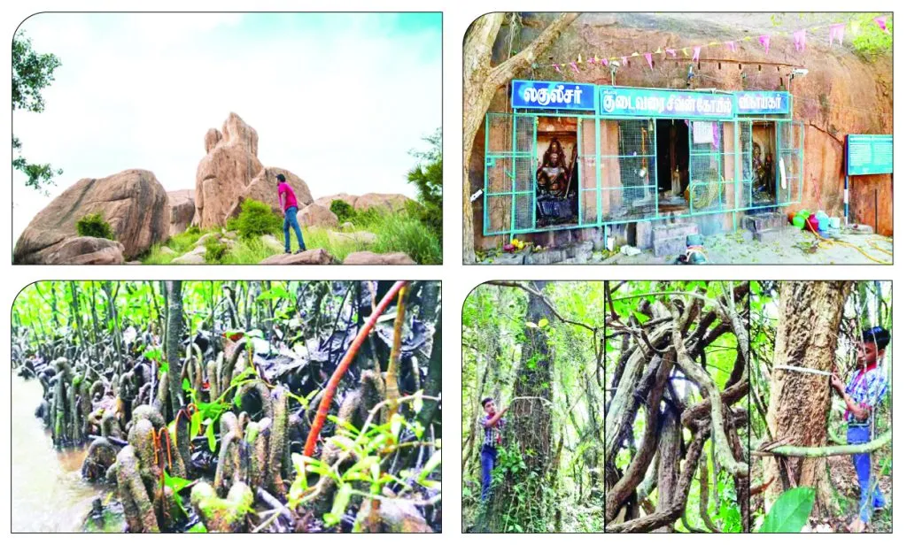 Let's create 'Devarai' in every village