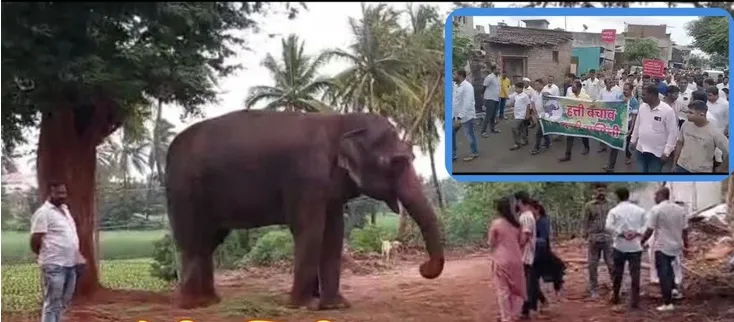 Truth, non-violence and Gandhi's weapons!