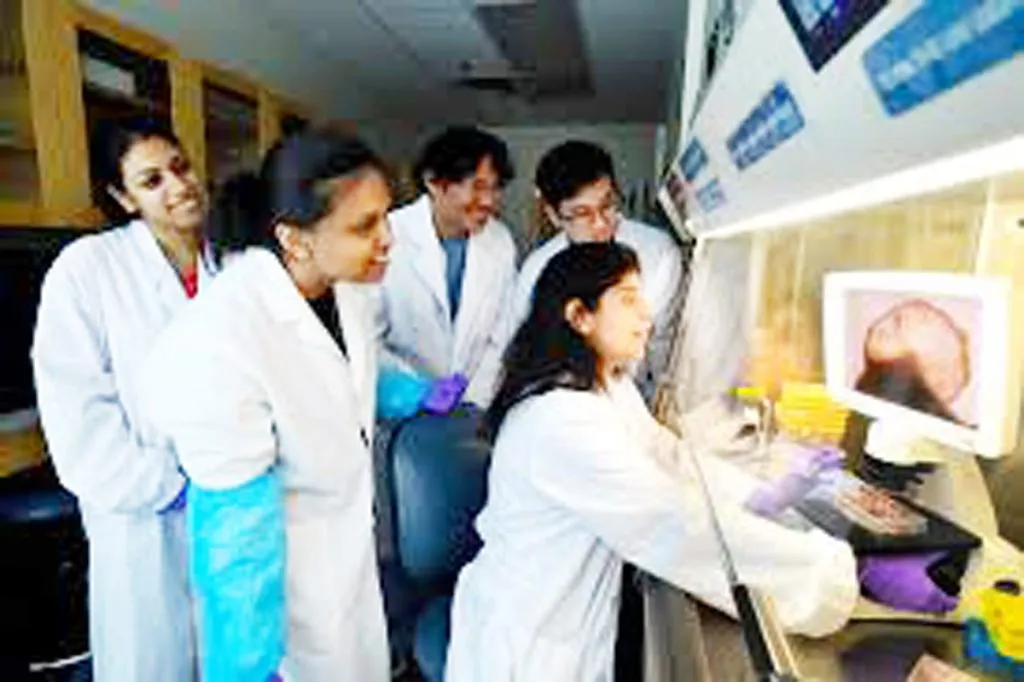 Creation of 'mini brain' in the laboratory