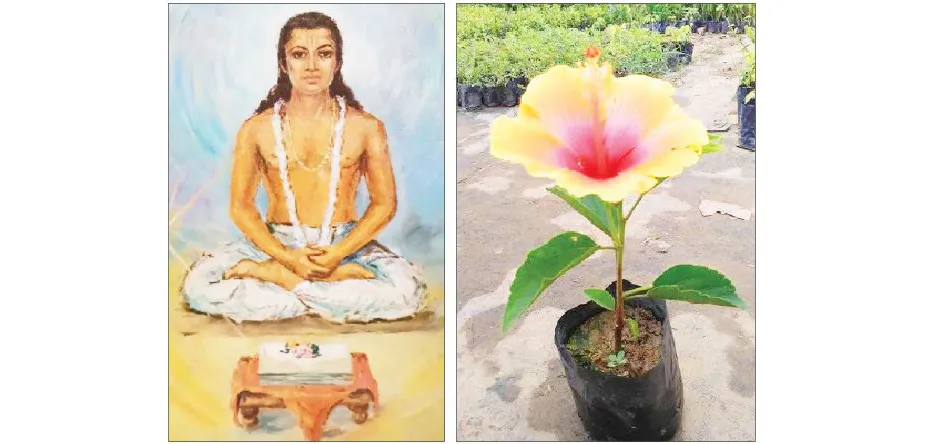 The path to liberation