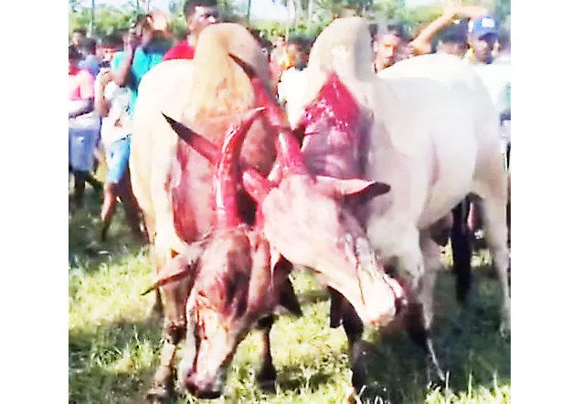 'Dhiryo' should be approved