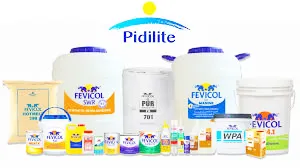Pidilite announces dividend-bonus