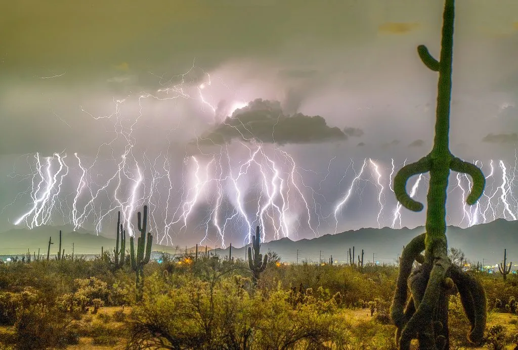 अमेरिकेत 829 किमीपर्यंत चमकली वीज Lightning struck 829 km in America