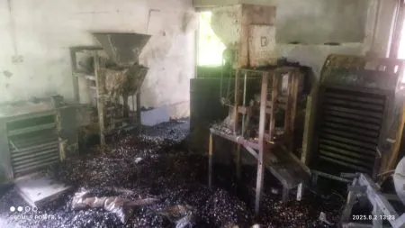 Ratnagiri News: संगमेश्वरमधील काजू फॅक्ट्रीला आग, 60 लाखांचे नुकसान Sangameshwar major fire at dhamani cashew factory 60 lakhs Loss Marathi news