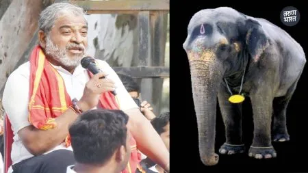 Mahadevi Elephant Nandani: माधुरीसाठी लवकरच राष्ट्रपतींची भेट घेणार : राजू शेट्टी Devotees from 743 villages border areas Maharashtra, Karnataka
