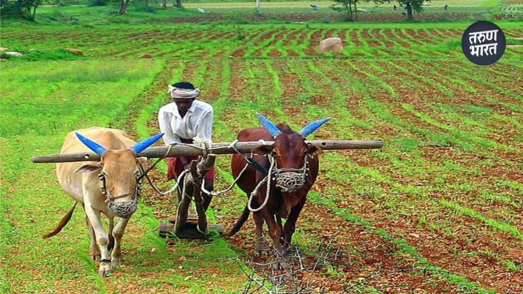 The deadline farmers participate under scheme Kharif season 2025