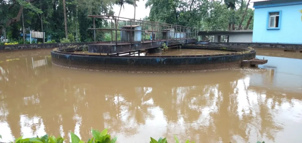 Tiswadi, tap dry in fondya