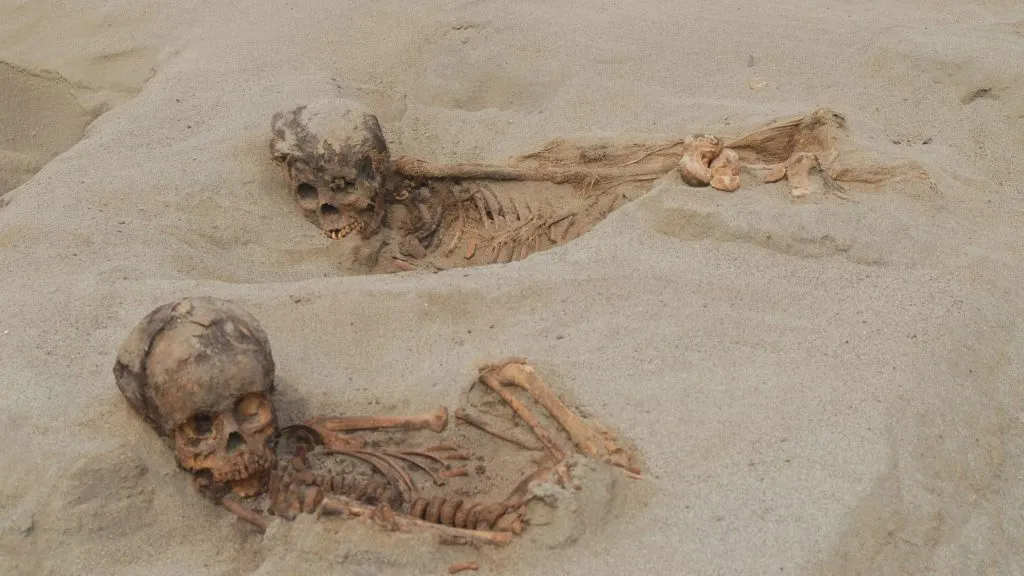 3,000-year-old skeletons discovered in Peru