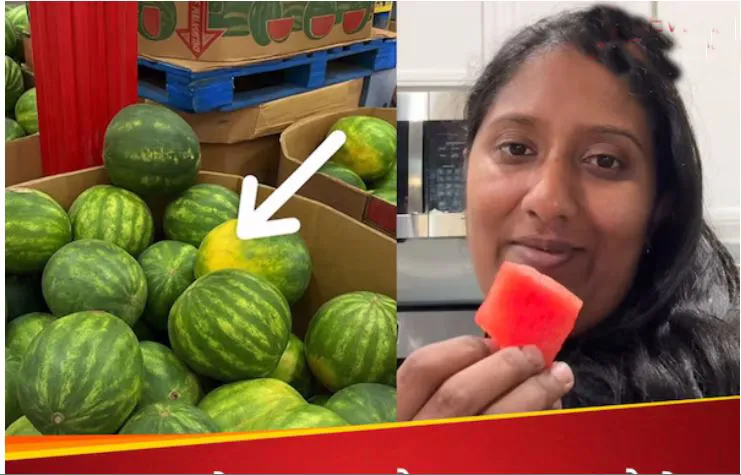 What will AI decide...