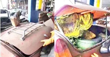 खटारा कारमधील रहस्य The secret in the dirty car