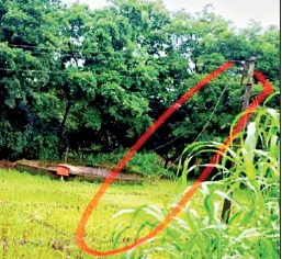 Farmer found abandoned in Patan taluka